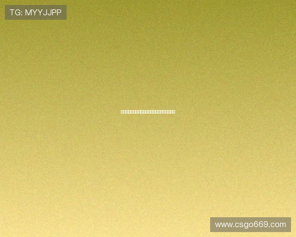 飞燕集团引领产业创新转型与全球市场拓展新格局